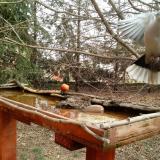 photo 2022-03-17 10-09-54