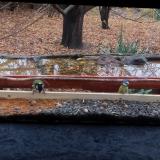 photo 2021-11-08 12-04-27