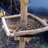 photo 2019-01-03 10-54-00