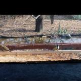 photo 2021-11-23 12-38-14