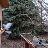 photo 2021-12-15 13-57-21