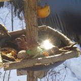 photo 2019-01-27 10-08-13