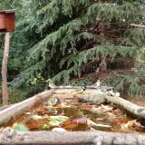 photo 2023-10-20 13-30-28