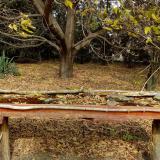 photo 2021-10-21 12-07-03