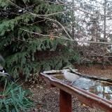 photo 2021-11-15 14-57-32