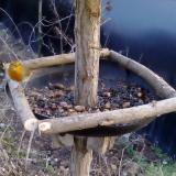 photo 2019-01-03 15-41-27