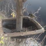 photo 2019-12-29 12-22-44