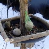 photo 2019-01-11 12-52-06