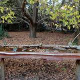 photo 2021-10-19 16-34-38