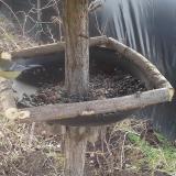 photo 2019-02-22 11-09-25