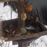 photo 2019-01-27 11-52-19