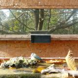 photo 2023-10-25 13-29-17