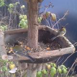 photo 2019-12-08 12-22-01