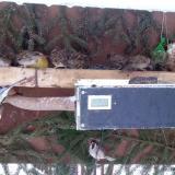 photo 2021-02-11 07-18-58