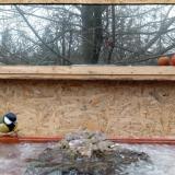 photo 2022-01-20 09-23-30