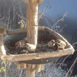 photo 2019-12-30 13-45-16