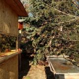 photo 2022-01-12 13-05-19