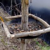 photo 2019-01-03 12-13-01