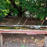 photo 2021-08-12 18-50-07