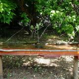 photo 2021-05-15 10-48-01