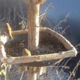 photo 2019-12-30 14-24-47