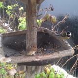 photo 2019-12-02 14-01-22