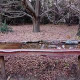 photo 2021-10-27 17-46-49