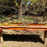 photo 2021-04-10 11-07-46