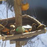 photo 2019-01-27 09-54-59