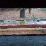 photo 2021-11-28 15-16-02