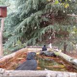 photo 2023-10-10 08-51-48