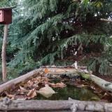 photo 2023-10-07 18-08-23