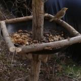 photo 2019-01-04 12-14-49