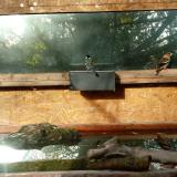 photo 2023-10-24 08-53-05