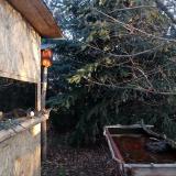 photo 2022-01-01 08-02-29