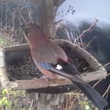 photo 2019-12-25 09-01-30