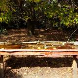 photo 2021-10-12 13-39-09