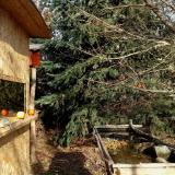 photo 2021-12-25 11-43-53