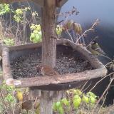 photo 2019-12-12 09-14-26