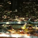 photo 2021-10-02 11-47-23 zoldike