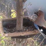 photo 2019-12-22 13-16-17