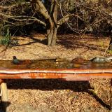 photo 2021-10-27 10-58-11