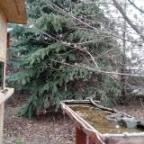 photo 2021-12-12 11-02-47