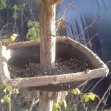 photo 2019-12-16 14-13-32