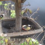 photo 2019-12-06 13-01-57