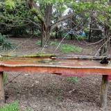 photo 2021-04-18 15-40-27