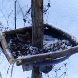 photo 2019-01-09 08-02-38