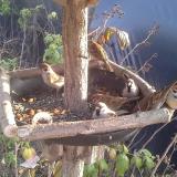 photo 2019-12-08 13-58-25