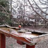 photo 2022-03-09 06-26-12