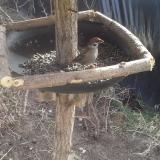 photo 2019-02-20 12-29-54